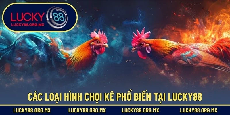 Các loại hình chọi kê phổ biến tại Lucky88
