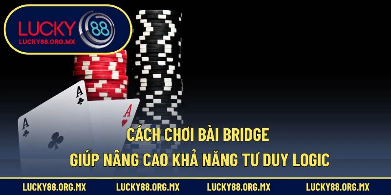 Cách chơi bài Bridge giúp nâng cao khả năng tư duy logic