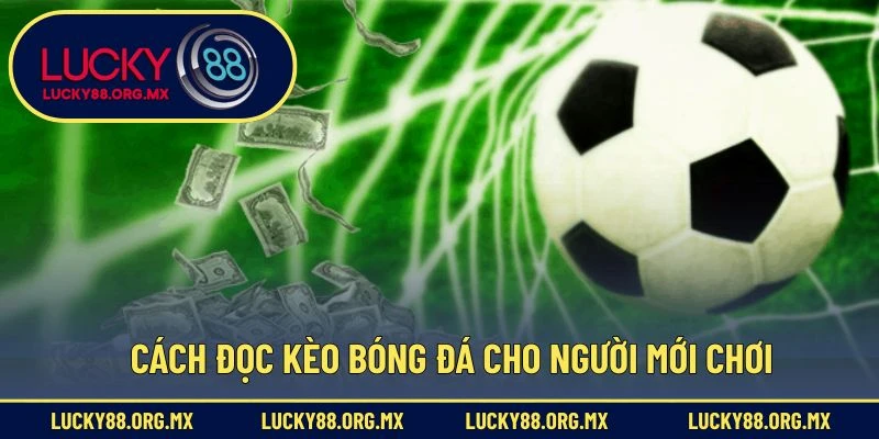 Cách đọc kèo bóng đá cho người mới chơi