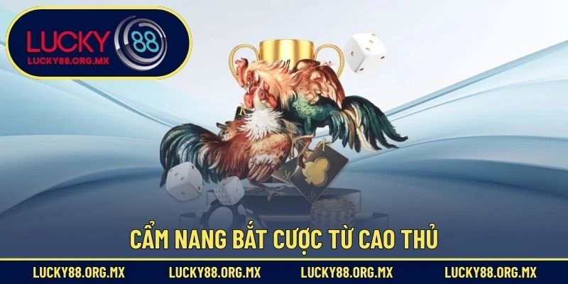 Cẩm nang bắt cược từ cao thủ