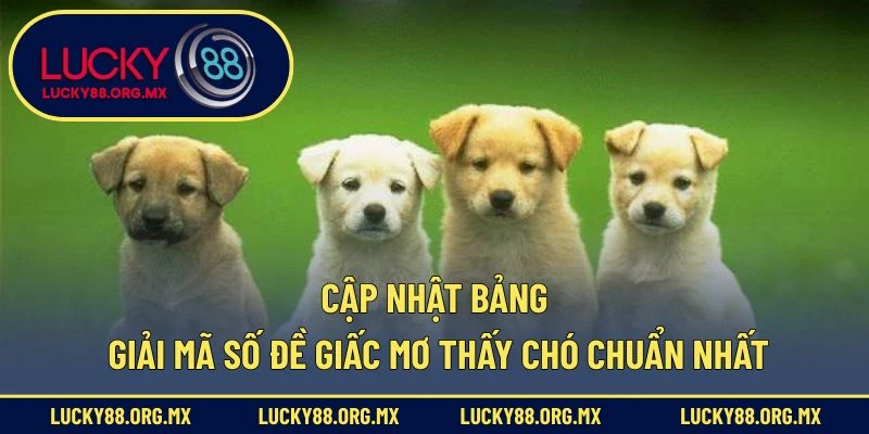 Cập nhật bảng giải mã số đề giấc mơ thấy chó chuẩn nhất