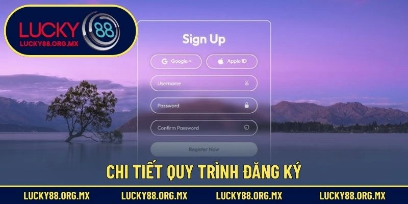 Chi tiết quy trình đăng ký