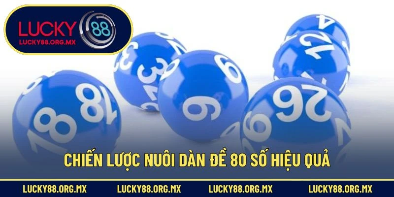 Chiến lược nuôi dàn đề 80 số hiệu quả