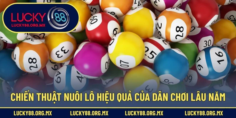 Chiến thuật nuôi lô hiệu quả của dân chơi lâu năm