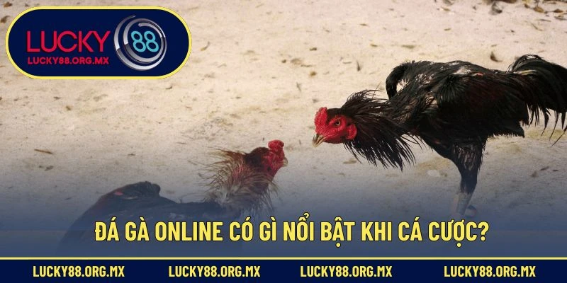 Đá gà online có gì nổi bật khi cá cược?