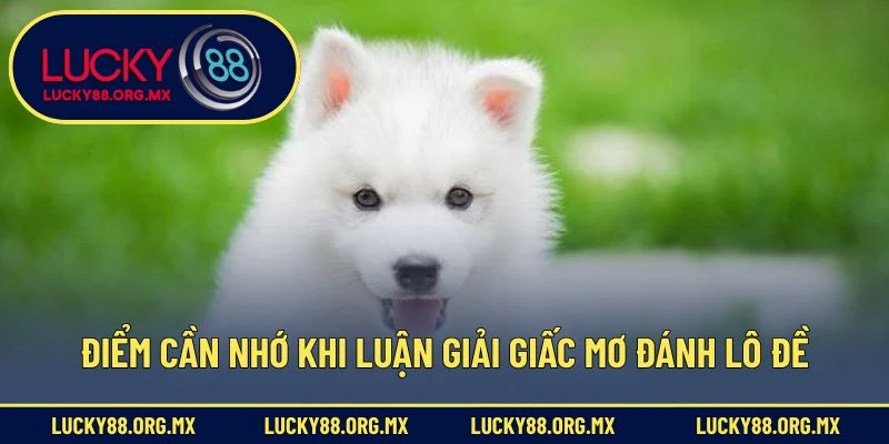 Điểm cần nhớ khi luận giải giấc mơ đánh lô đề