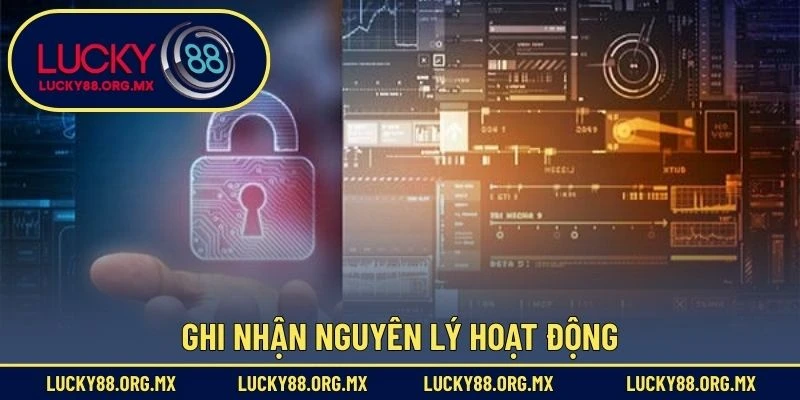 Ghi nhận nguyên lý hoạt động