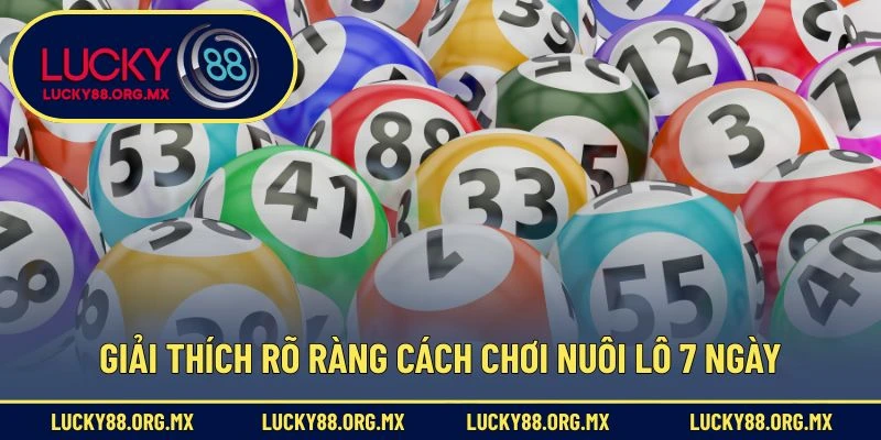 Giải thích rõ ràng cách chơi nuôi lô 7 ngày