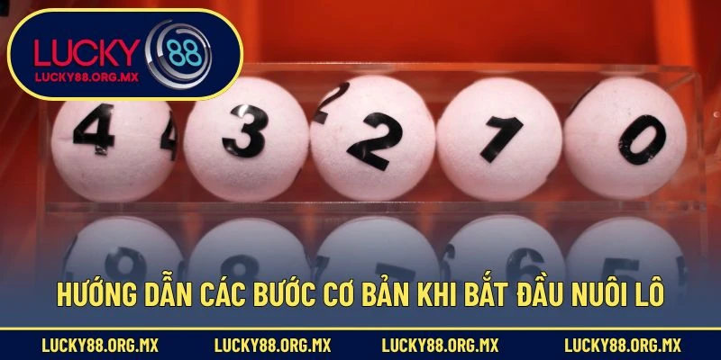 Hướng dẫn các bước cơ bản khi bắt đầu nuôi lô