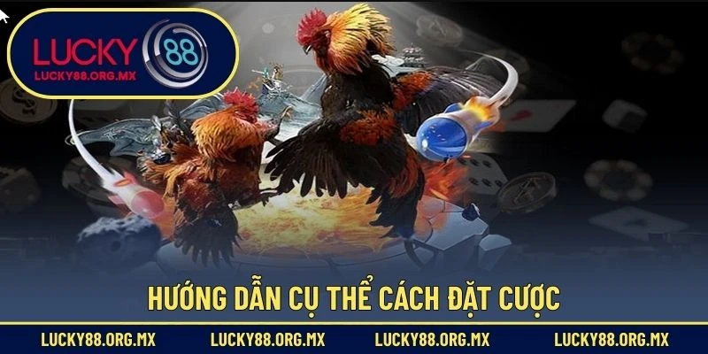 Hướng dẫn cụ thể cách đặt cược