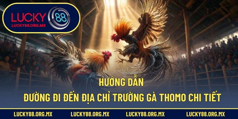 Hướng dẫn đường đi đến địa chỉ trường gà Thomo chi tiết