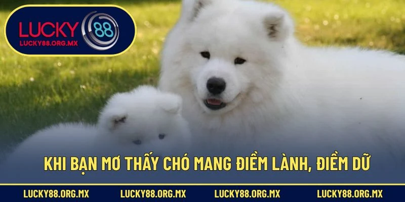 Khi bạn mơ thấy chó mang điềm lành, điềm dữ