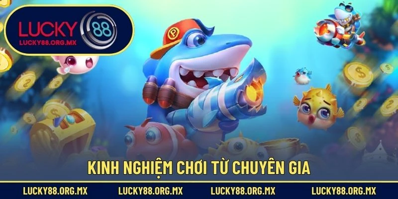Kinh nghiệm chơi từ chuyên gia