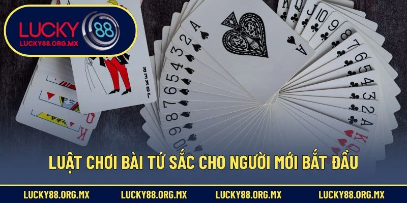 Luật chơi bài Tứ Sắc cho người mới bắt đầu