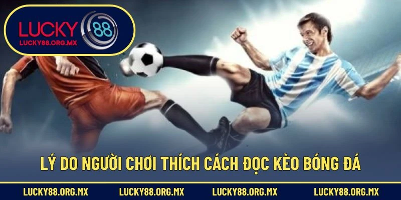 Lý do người chơi thích cách đọc kèo bóng đá