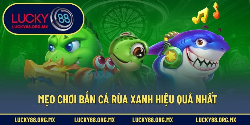 Mẹo chơi bắn cá rùa xanh hiệu quả nhất