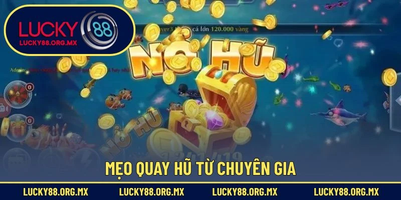Mẹo quay hũ từ chuyên gia