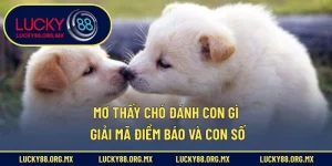Mơ thấy chó đánh con gì?