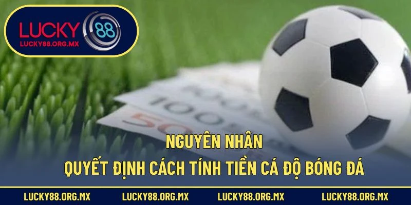 Nguyên nhân quyết định cách tính tiền cá độ bóng đá