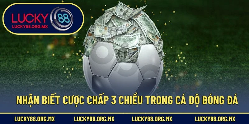 Nhận biết cược chấp 3 chiều trong cá độ bóng đá