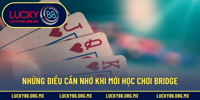 Những điều cần nhớ khi mới học chơi Bridge