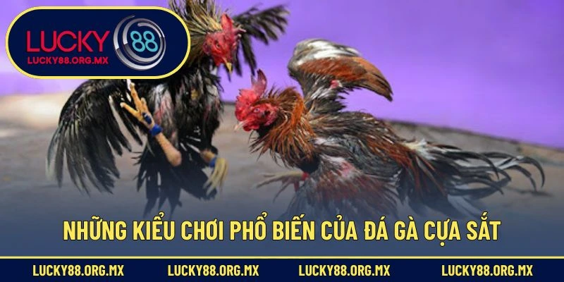 Những kiểu chơi phổ biến của đá gà cựa sắt