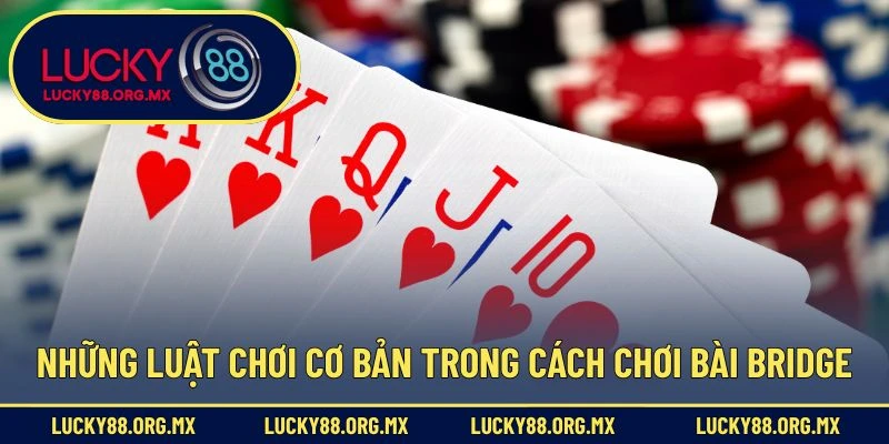 Những luật chơi cơ bản trong cách chơi bài Bridge