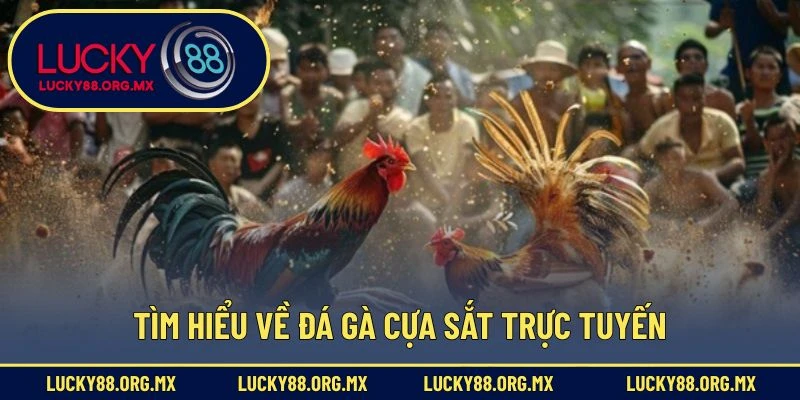 Tìm hiểu về đá gà cựa sắt trực tuyến